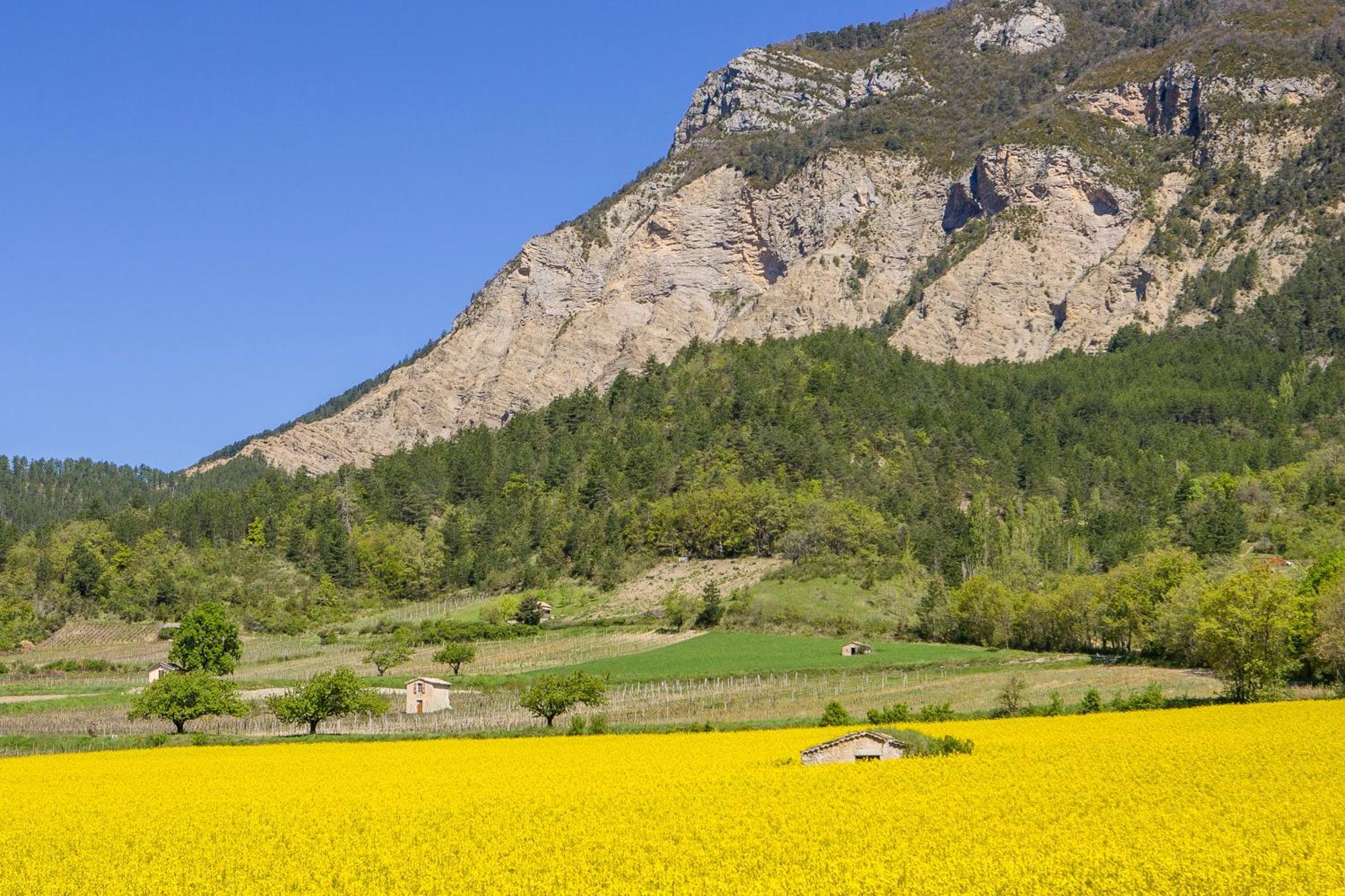 Le Dauphine Ξενοδοχείο Châtillon-en-Diois Εξωτερικό φωτογραφία