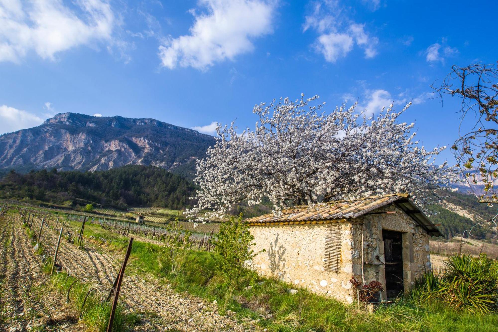 Le Dauphine Ξενοδοχείο Châtillon-en-Diois Εξωτερικό φωτογραφία
